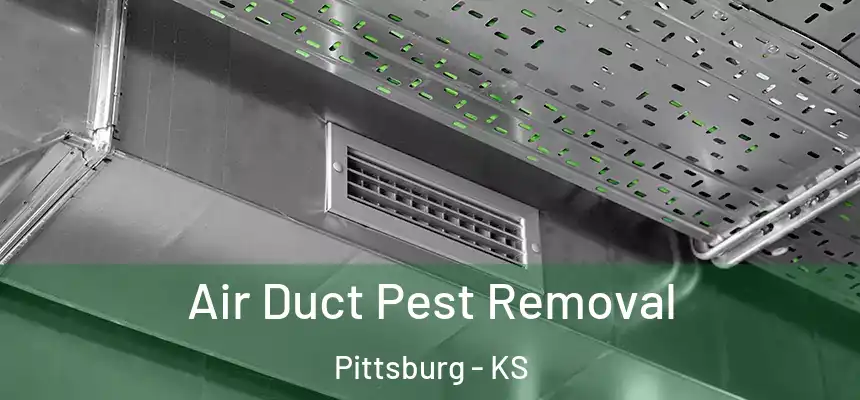 Air Duct Pest Removal Pittsburg - KS
